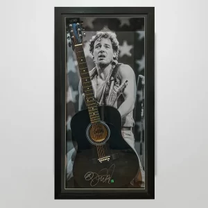 authentically-signed- bruce-springsteen-guitar